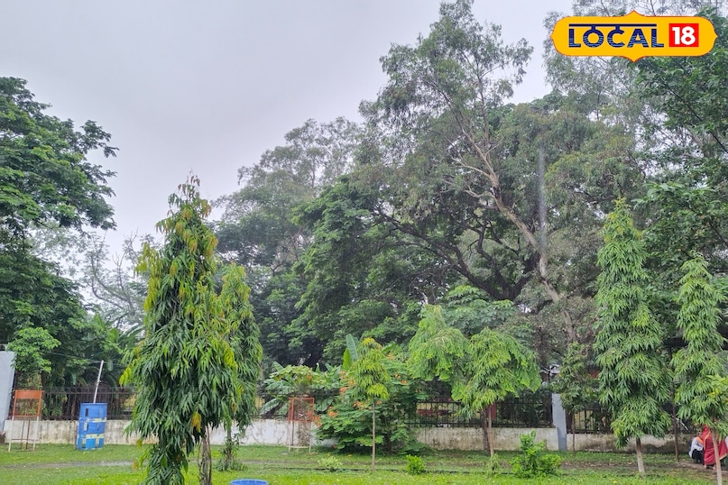 सागर मौसम सागर मौसम
