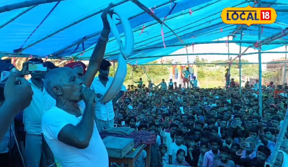 बिहार में जहरीले सांपों के साथ बुजुर्ग का खौफनाक कारनामा, देखें Video