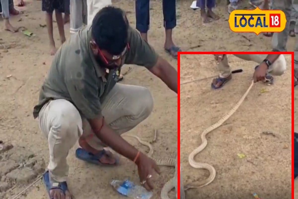नागपंचमी पर एक साथ दिखे दो सफेद सांप, लोग को शुभ संकेत का इशारा!