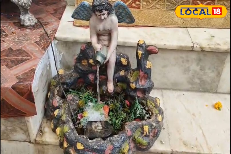 मथुरा न्यूज़, मंदिर न्यूज़, यूपी न्यूज, टॉप खबर, लोकल 18, द्वारकाधीश मंदिर, फुल फल बांग्ला, हिंडोला, मंदिर कार्यक्रम, Mathura News, Temple News, UP News, Top News, Local 18, Dwarkadhish Temple, Full Fruit Bangla, Hindola, Temple Program मथुरा न्यूज़, मंदिर न्यूज़, यूपी न्यूज, टॉप खबर, लोकल 18, द्वारकाधीश मंदिर, फुल फल बांग्ला, हिंडोला, मंदिर कार्यक्रम, Mathura News, Temple News, UP News, Top News, Local 18, Dwarkadhish Temple, Full Fruit Bangla, Hindola, Temple Program