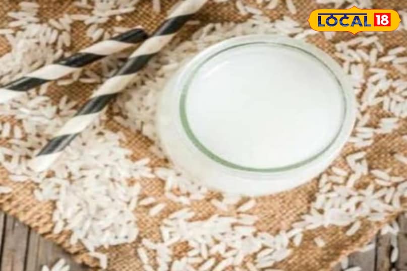 मनी प्लांट पौधा मनी प्लांट पौधा