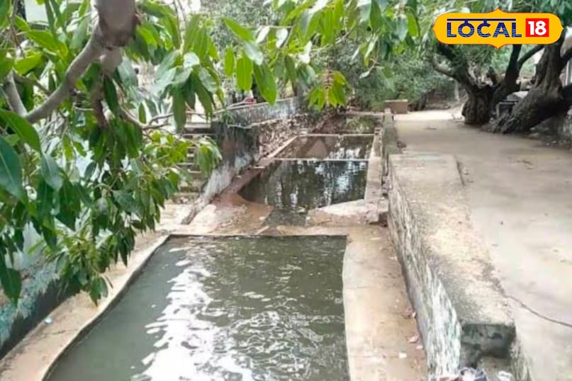 बैघनाथ मंदिर बैघनाथ मंदिर