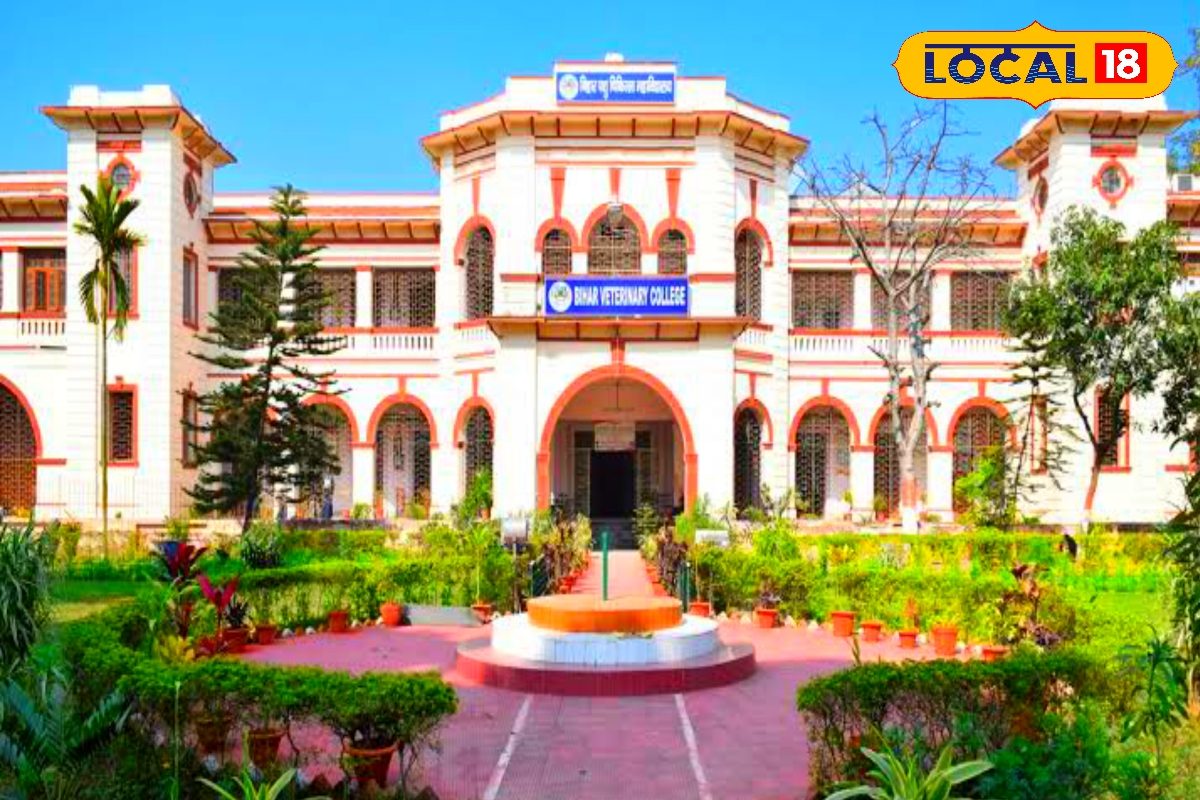 बिहार की अनोखी यूनिवर्सिटी, यहां पढ़ाई के लिए स्टूडेंट को मिलती है पॉकेट मनी