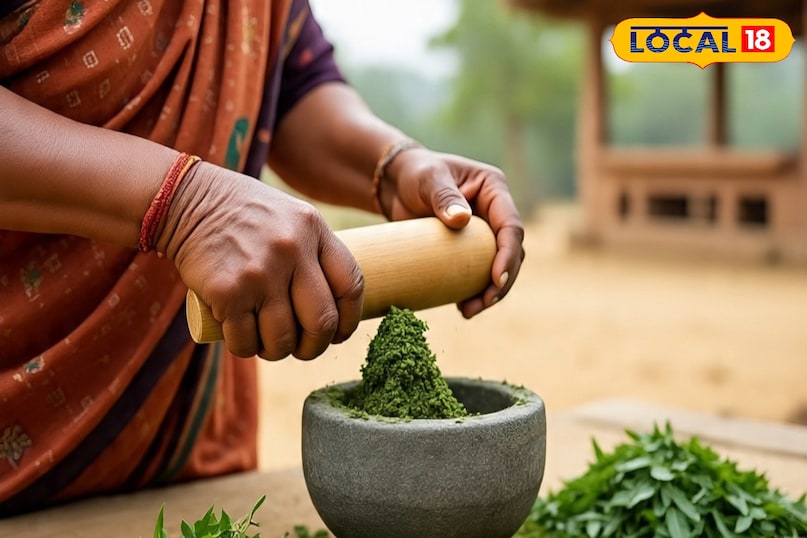 नीम का लेप तैयार करने के लिए आपको नीम के पेड़ की ताजी पत्तियां तोड़ लेनी है. इसके बाद उसे अच्छी तरह मिक्सर ग्राइंडर या सिलबट्टे पर पीस लेना है. इस पेस्ट को नारियल तेल मिलाकर हाथ, पैर और गर्दन पर लगा ले. इसकी गंध से मच्छर दूर भाग जाएंगे. नीम का लेप तैयार करने के लिए आपको नीम के पेड़ की ताजी पत्तियां तोड़ लेनी है. इसके बाद उसे अच्छी तरह मिक्सर ग्राइंडर या सिलबट्टे पर पीस लेना है. इस पेस्ट को नारियल तेल मिलाकर हाथ, पैर और गर्दन पर लगा ले. इसकी गंध से मच्छर दूर भाग जाएंगे.