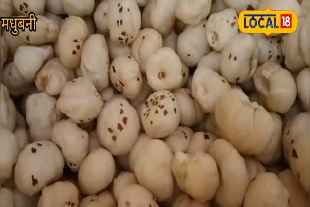 ब्रिटेन से संधि, मखाना कारोबार में टैरिफ घटाने का ऐलान, जानें क्या होगा असर