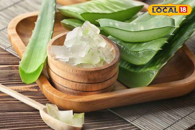 Home Remedies for Baldness, Hair Fall Treatment, Natural Treatment for Hair Loss, Tips and Trick, Local18, Khargone Letest News, Madhya Pradesh Hindi News
