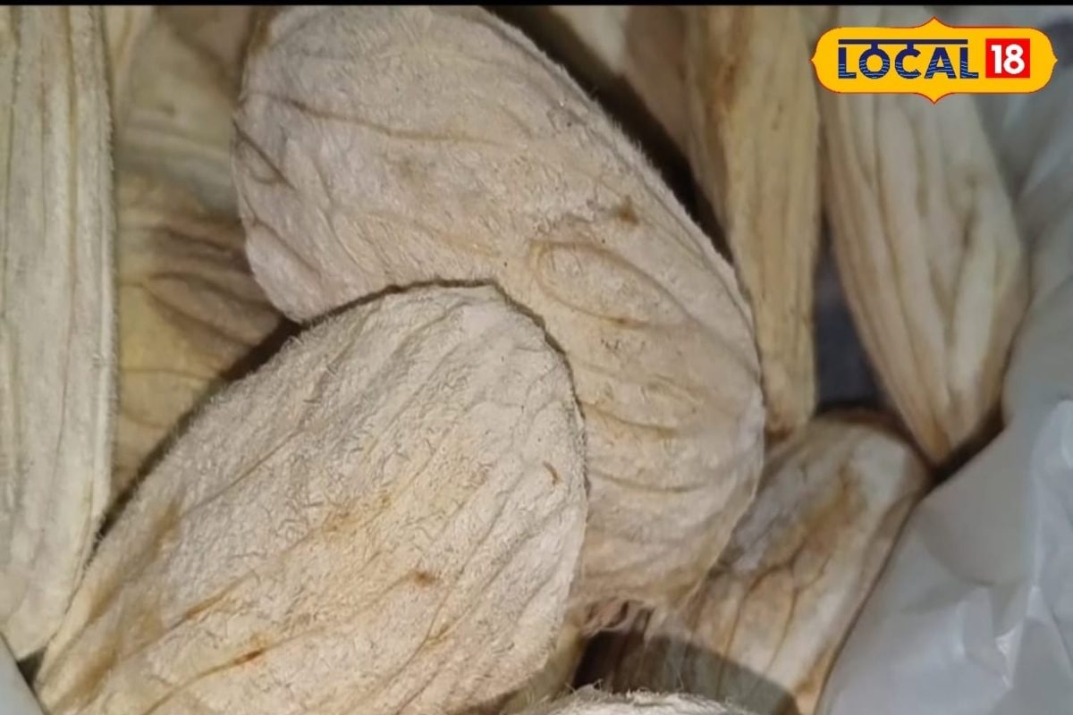 आम की गुठली को न समझें बेकार, फेंकने से पहले जान लें ये 5 गजब के फायदे