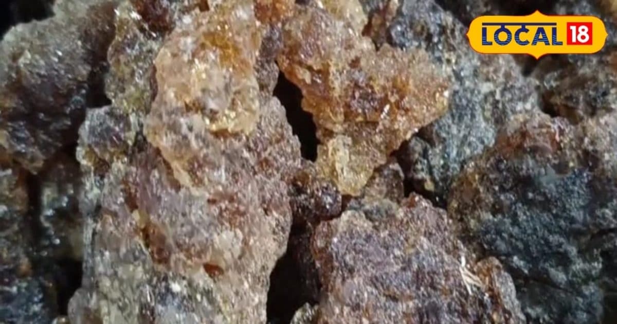 एक देसी नुस्खा, कई बीमारियों का इलाज….यह गोंद देगा फंगल से डायबिटीज तक राहत, जानें जबरदस्त फायदे