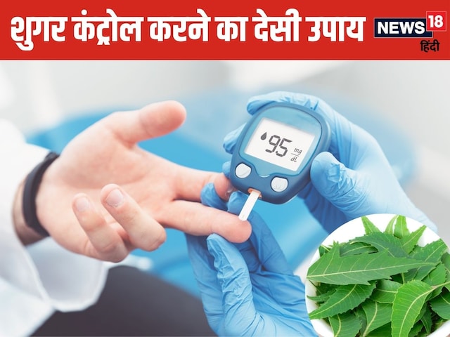This tree is a panacea in controlling diabetes! Chew 5 leaves on an empty stomach every morning This tree is a panacea in controlling diabetes! Chew 5 leaves on an empty stomach every morning