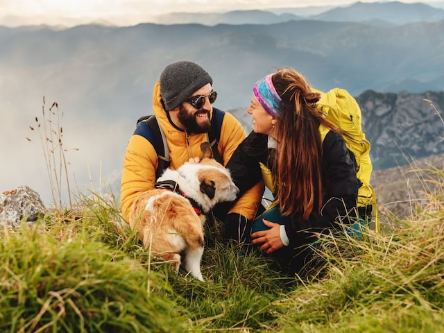 Have to travel with pets? Follow 5 smart tips and make your journey memorable