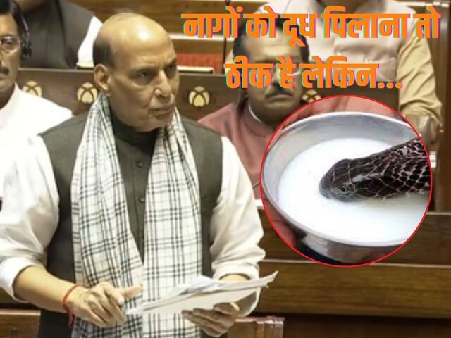 आज नागपंचमी है, नागों को दूध पिलाना तो ठीक लेकिन... राजनाथ ने ऐसा क्यों कहा?