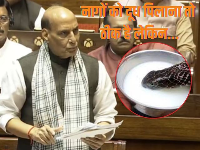 आज नागपंचमी है, नागों को दूध पिलाना तो ठीक लेकिन... राजनाथ ने ऐसा क्यों कहा? आज नागपंचमी है, नागों को दूध पिलाना तो ठीक लेकिन... राजनाथ ने ऐसा क्यों कहा?