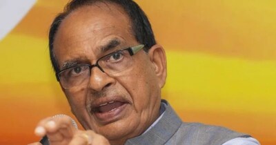 कृषि मंत्री ने आश्वासन दिया कि भारतीय बाजार में विदेशी उत्पादों का कोई अचानक प्रवेश नहीं होगा. 