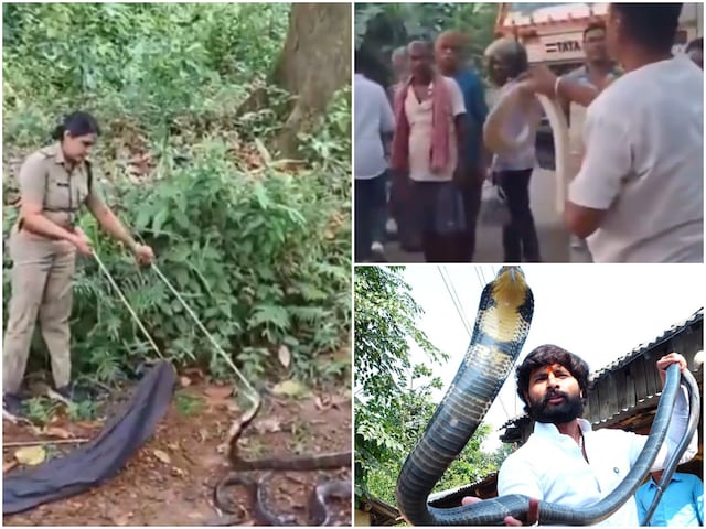 सबकी किस्मत में 'रोशनी' नहीं होती, सर्पमित्रों से सांप दोस्ती नहीं करता सबकी किस्मत में 'रोशनी' नहीं होती, सर्पमित्रों से सांप दोस्ती नहीं करता