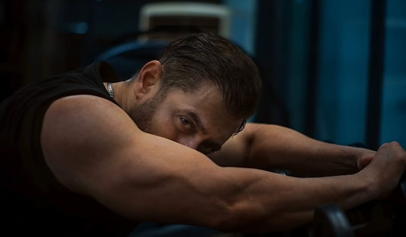 Bollywood Celebs Phobias, Bollywood Celebs fears, Deepika Padukone, ranbir Kapoor, Salman Khan, Shah rukh Khan, alia bhatt, arjun kapoor, बॉलीवुड सितारे, बॉलीवुड स्टार्स, बॉलीवुड स्टार्स फोबिया, बॉलीवुड सितारों का डर, बॉलीवुड सेलेब्स, सलमान खान, शाहरुख खान, रणबीर कपूर