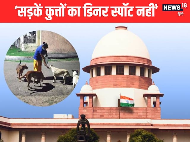 'कुत्तों को खिलाने का इतना ही शौक है तो घर को शेल्टर बना लो', SC ने लगाई फटकार 'कुत्तों को खिलाने का इतना ही शौक है तो घर को शेल्टर बना लो', SC ने लगाई फटकार