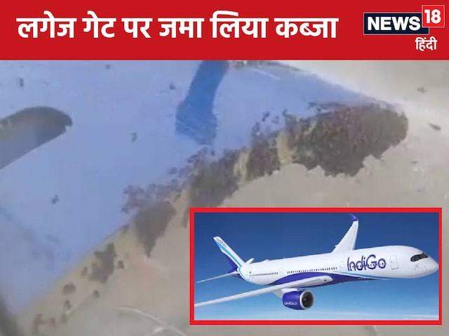 मधुमक्खियों ने रोकी सूरत-जयपुर फ्लाइट, 1 घंटे तक मच रही खलबली, थम गए सब काम