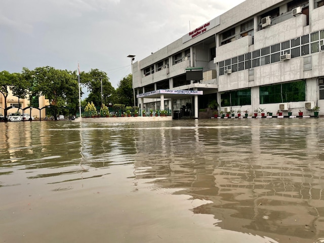 DC मैडम...आपके सारे दावे तो बारिश ने धो डाले! दफ्तर के बाहर बन गया तालाब DC मैडम...आपके सारे दावे तो बारिश ने धो डाले! दफ्तर के बाहर बन गया तालाब