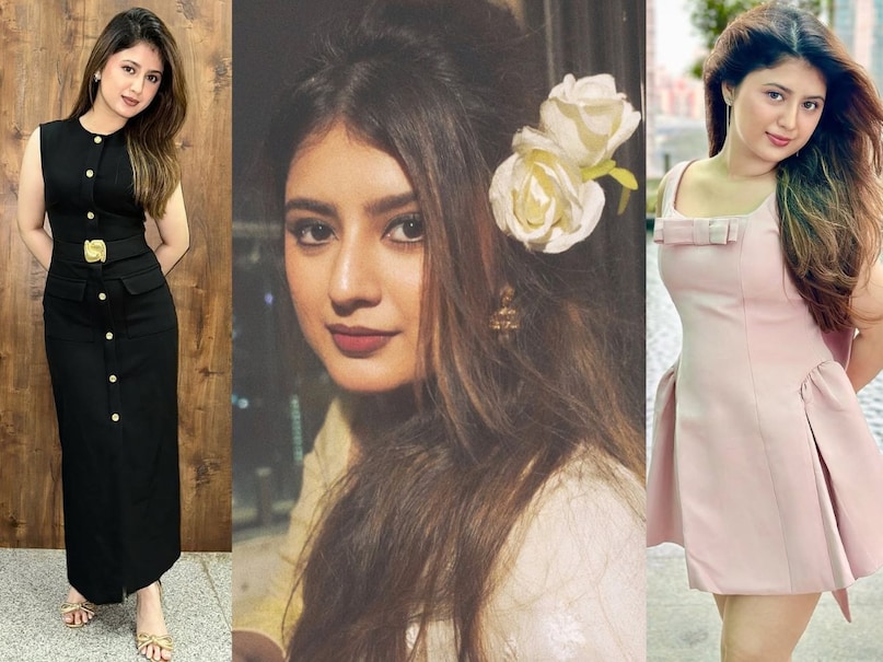 Arishfa Khan, Who isrishfa Khan, Arishfa Khan Koun Hai, Arishfa Khan Approached for Bigg Boss 19, Salman Khan Show, BIGG BOSS 19 CAST, Arishfa Khan Instagram, Arishfa Khan YouTh Who is Arishfa Khan, Arishfa Khan was approached for Bigg Boss 19, Salman Khan Show, Bigg Boss 19 Cast, Arishfa Khan Instagram, Arishfa Khan YouTube