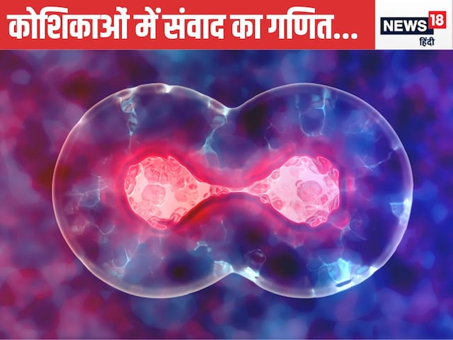 Revolution in the treatment of many diseases including BP, diabetes