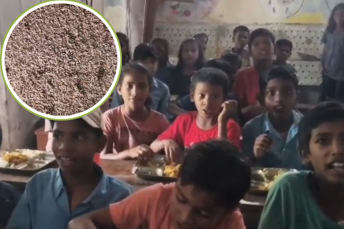 स्कूल के भंडारघर में बोरे रखे थे दाल-चावल, नजारा देख पेरेंट्स को आ गई उल्टी!