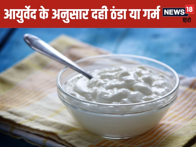 Is curd effect hot or cold? Why is it forbidden to eat in the rain, know the fact Is curd effect hot or cold? Why is it forbidden to eat in the rain, know the fact