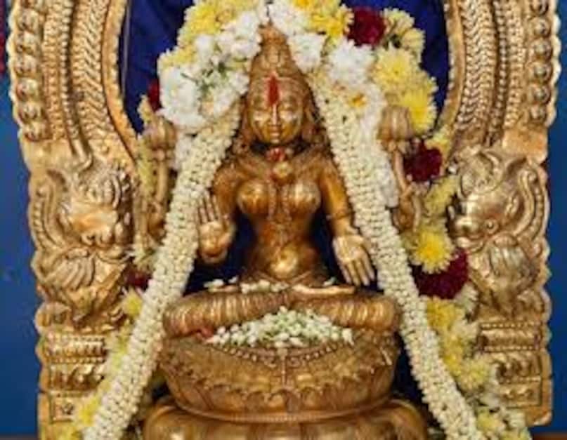 श्री लक्ष्मी नारायणी स्वर्ण मंदिर स्थापत्य कला और आध्यात्मिक प्रतीकात्मकता के अद्भुत मिश्रण को दर्शाता है. मंदिर की प्रमुख देवी श्री लक्ष्मी नारायणी हैं, जो धन, शक्ति और समृद्धि की प्रतीक हैं. अपने उद्घाटन के बाद से तमिलनाडु का यह मंदिर आध्यात्मिकता के एक प्रकाश स्तंभ के रूप में विकसित हुआ है.दुनिया भर से लाखों पर्यटक यहां आते हैं.