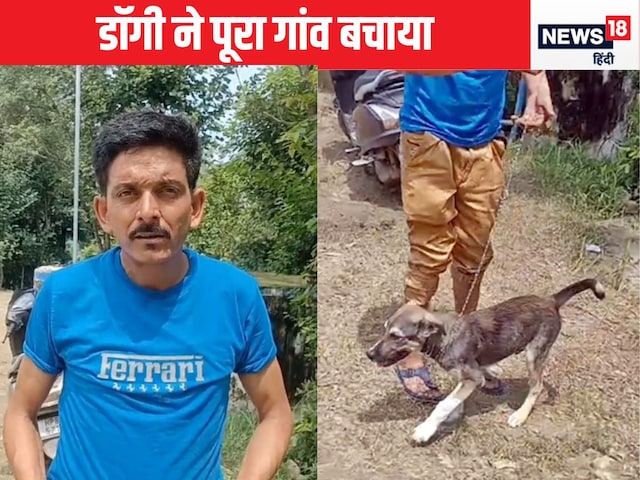 How did Doggie save 67 people from Sythi village in Himachal Pradesh at midnight?