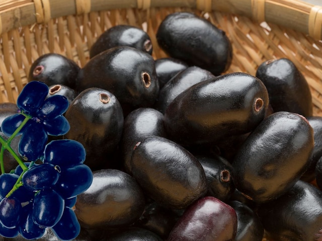 Do not forget to throw the seeds, keep it in the cans and keep its powder Do not forget to throw the seeds, keep it in the cans and keep its powder