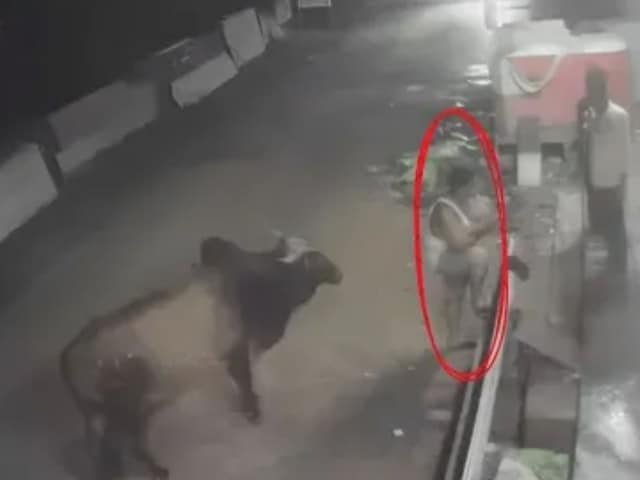 वह व्यक्ति चड्डी-बनी में खड़ा था, बैल पीछे से आया था, पैरों के बीच सींग घुस गया था! वह व्यक्ति चड्डी-बनी में खड़ा था, बैल पीछे से आया था, पैरों के बीच सींग घुस गया था!