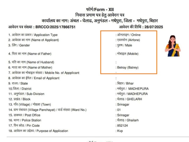 आवेदक 'एयरफोन', पिता का नाम 'मोबाइल' और मां 'बैटरी', बिहार में हो रहा गजब खेल!