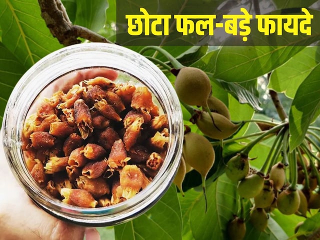This fruit is hidden in the treatment of 5 serious diseases, it will be filled with luxury veins
