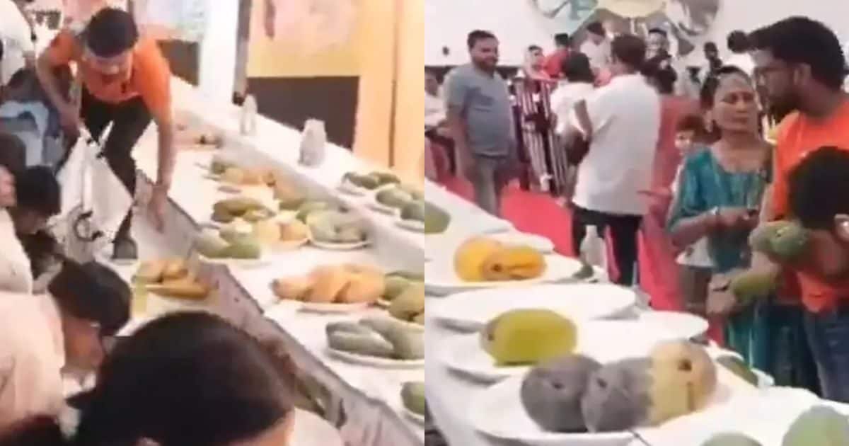 Mango Festival Loot: विभाग ने लगाई आमों की प्रदर्शनी, लोगों ने समझा फ्री का माल, दुपट्टे में भर ले भागी औरतें
