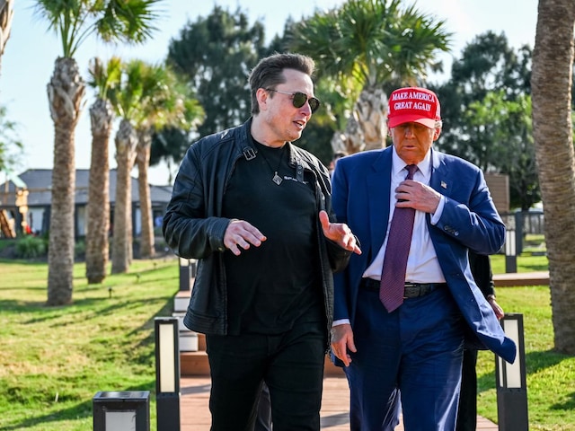 Alan Musk will play a new game in America! Who said the Porky Pig Party? Alan Musk will play a new game in America! Who said the Porky Pig Party?