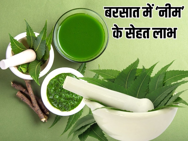 Neem is a medicine for rainy diseases, effective in 5 problems with infection