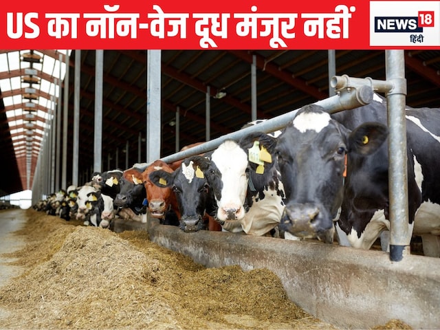 What is the non -veg milk with which India stopped in America What is the non -veg milk with which India stopped in America
