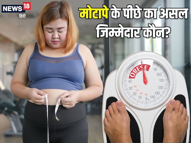 Obesity: There is not only a lack of exercise, these habits of food are also the real reason for obesity! Obesity: There is not only a lack of exercise, these habits of food are also the real reason for obesity!