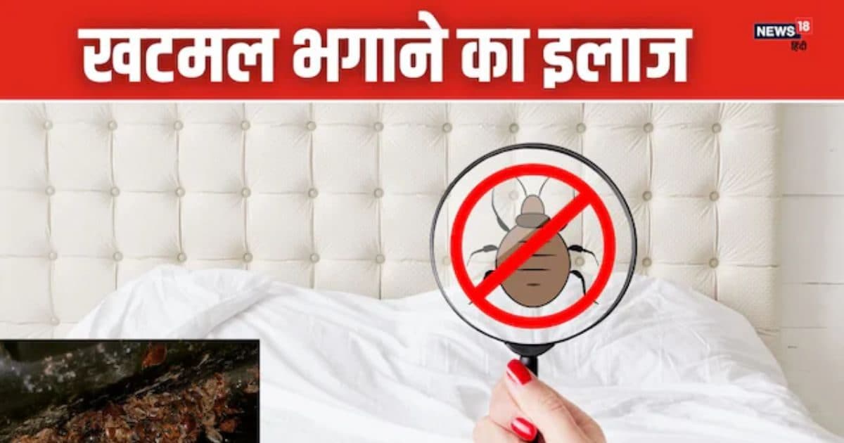 How to get rid of bedbugs or khatmal instant effect Khatmal Bhagane Ka ...