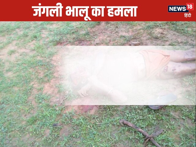 सुबह से था सन्नाटा, शाम तक हिल गया पूरा गांव, आ ही गया था ऐसा खूंखार जानवर!
