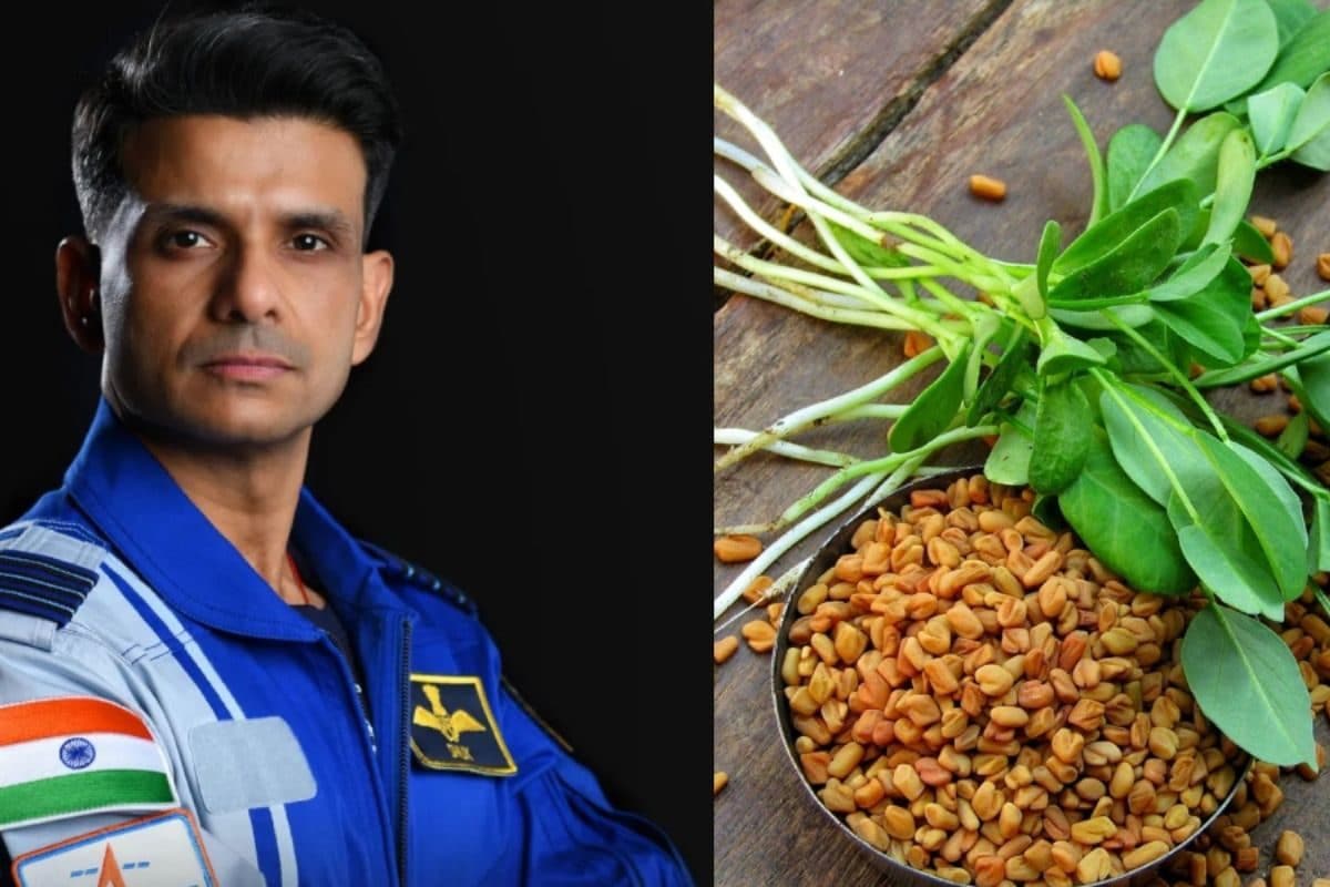 NASA के स्पेस स्टेशन पर उगी मूंग-मेथी देसी वैज्ञानिक शुभांशु शुक्ला का कमाल