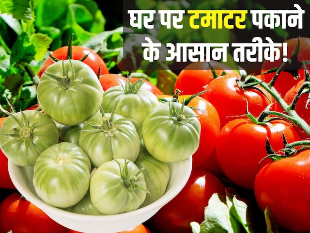 How to cook raw tomatoes at home? With the help of 3 easy tips, you will be cooked, it will be absolutely red How to cook raw tomatoes at home? With the help of 3 easy tips, you will be cooked, it will be absolutely red