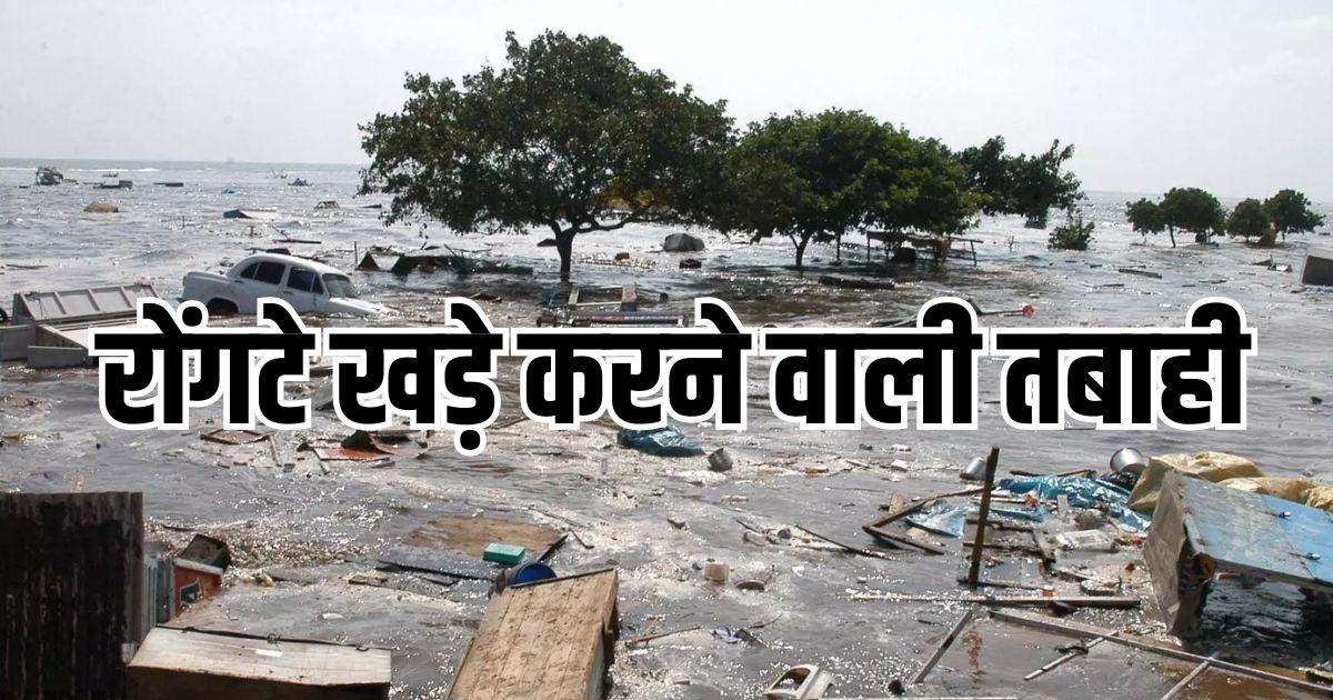 14 देश, 227000 मौतें और... तब हिंद महासागर में आई सुनामी, जानिए कैसी थी तबाही
