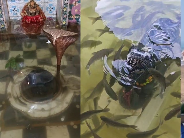 यहां जल के भीतर से दर्शन देते हैं महादेव, मछलियां भी करती है जलाभिषेक!