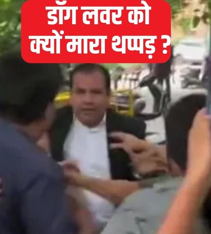 थप्पड़ पर दे थप्पड़ सुप्रीम कोर्ट के बाहर वकील ने क्यों कर दी डॉग लवर की पिटाई 