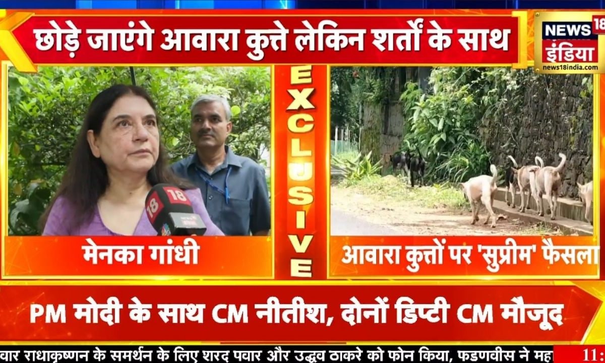 मैं बहुत ही खुश हूं... सु्प्रीम कोर्ट के आवारा कुत्तों पर फैसले पर क्या बोलीं मेनका गांधी?