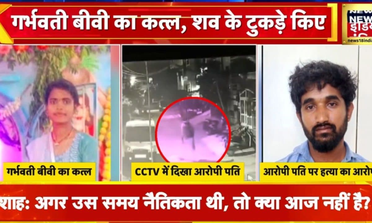 सनसनीखेज! गर्भवती पत्नी की कत्ल शव के टुकड़े कर नदी में फेंका VIDEO वायरल