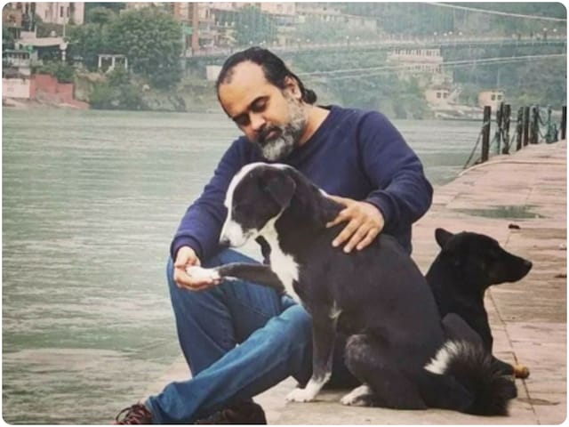 7 करोड़ आवारा कुत्ते, 15000 करोड़ से ज्यादा का खर्च... SC के फैसले पर चेतावनी 7 करोड़ आवारा कुत्ते, 15000 करोड़ से ज्यादा का खर्च... SC के फैसले पर चेतावनी