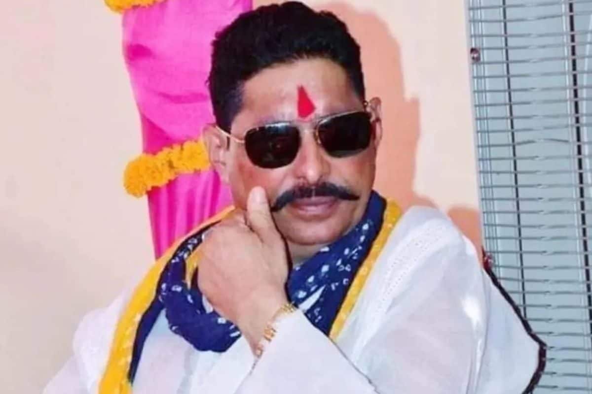 VIDEO: हम उतना पढ़े लिखे नहीं है... पर आप जोड़ लीजिए, बिहार चुनाव से पहले अनंत सिंह की बड़ी भविष्यवाणी