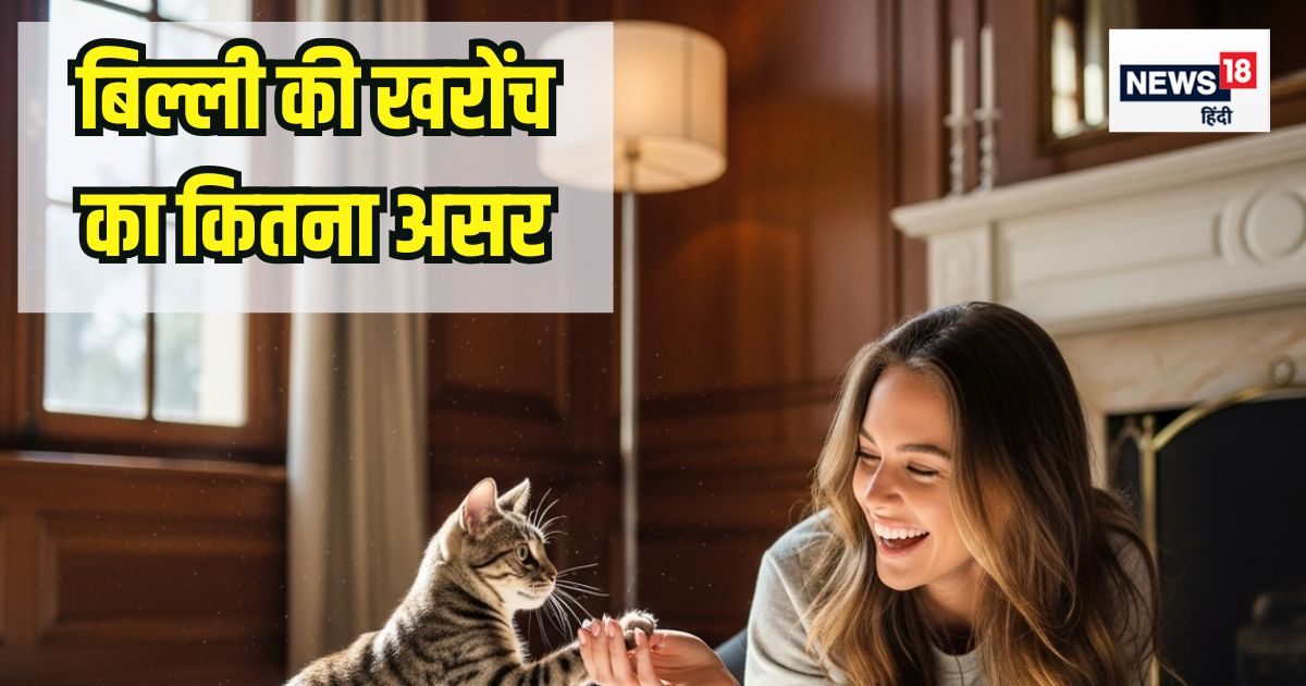 क्या बिल्ली के खरोंच से भी होती है बीमारी, नहीं पता है तो जान लीजिए, वरना मुसीबत में फंस जाएंगे