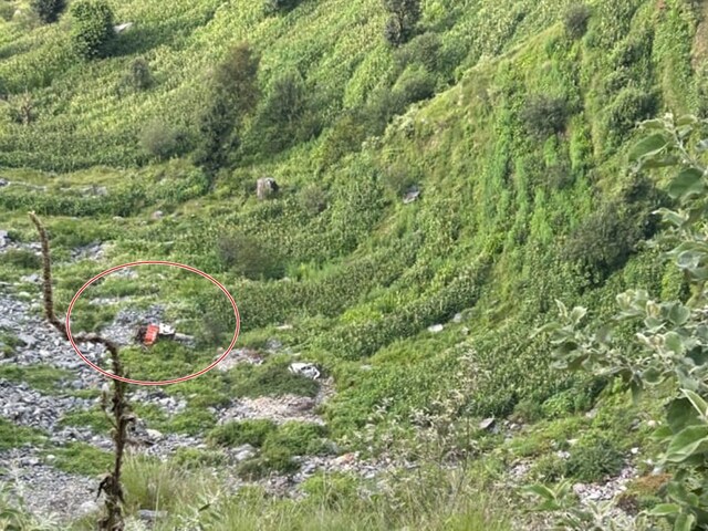 हिमाचल में बड़ा हादसा, 500 मीटर खाई में गिरी कार, जीजा-साले सहित 6 की मौत